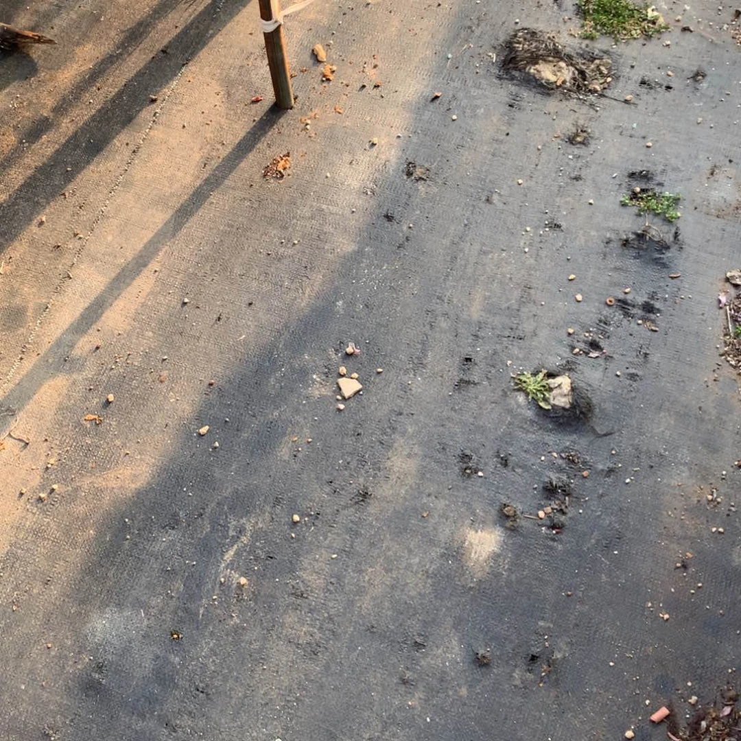 红陶ღ****中饰演过三代一班