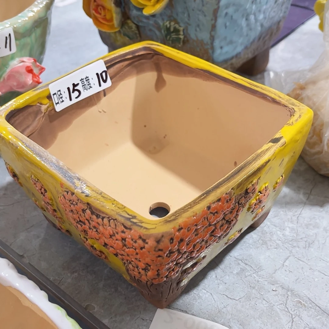 【闪购商品】红陶新