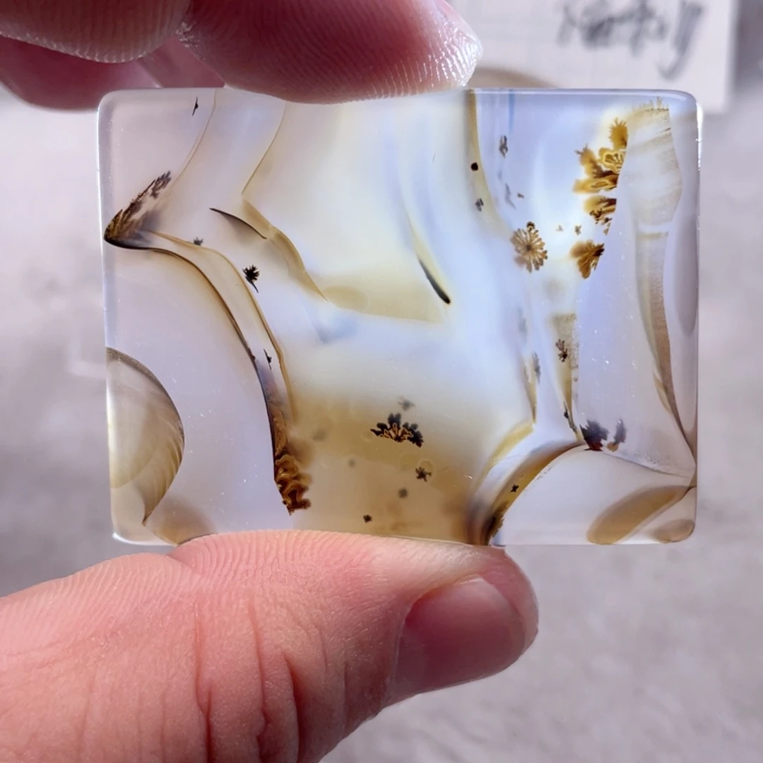 【闪购商品】玛瑙/玉髓颈饰合金