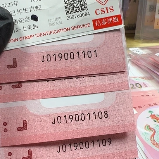 J019001101标十简易封装蛇