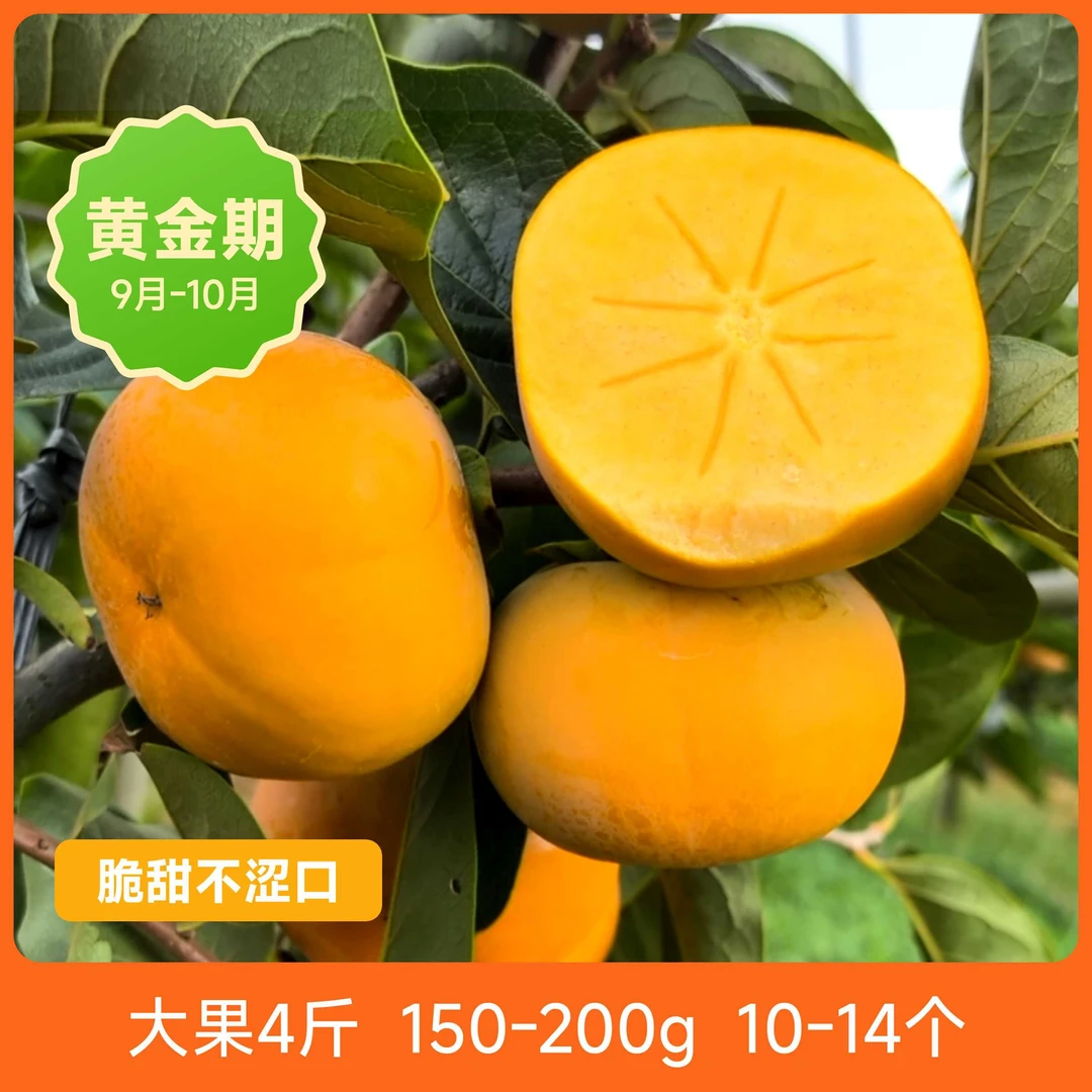 辰颐物语云南保山脆柿大果4斤装