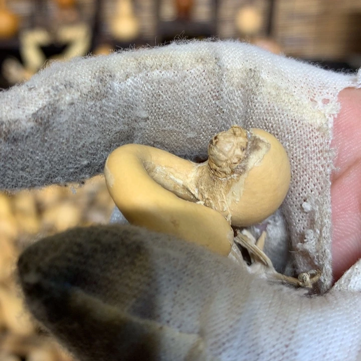 奶盖小奶瓶都不给喝啦啊呜呜