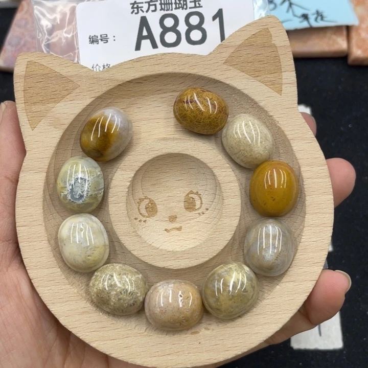 硅化珊瑚（珊瑚玉）颈饰合金