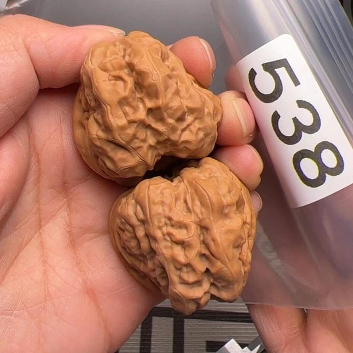 核桃38边445肚538号