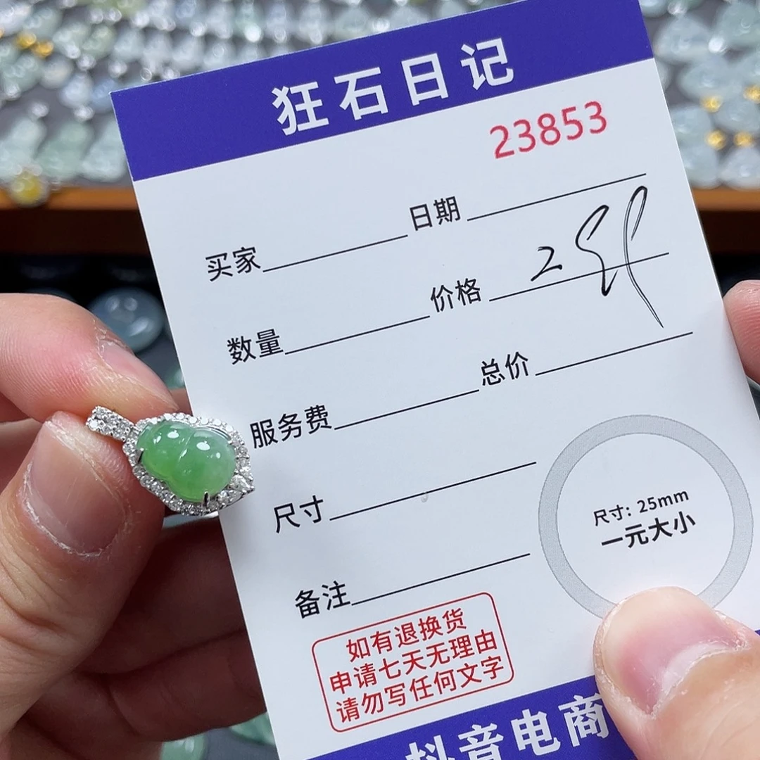 翡翠银S925镶嵌颈饰