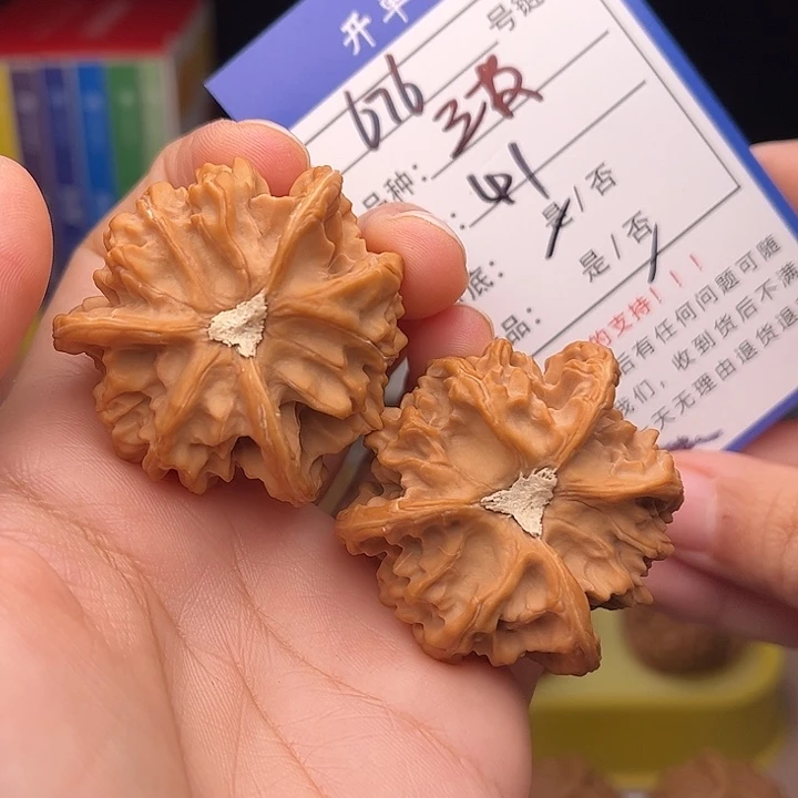 文玩核桃手捻核桃676