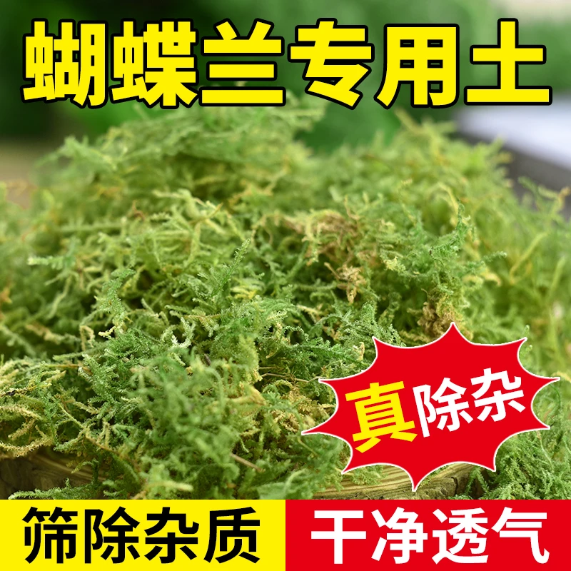 花多多干苔藓水苔蝴蝶兰水苔兰花蝴蝶兰专用土石斛种植营养土爬宠
