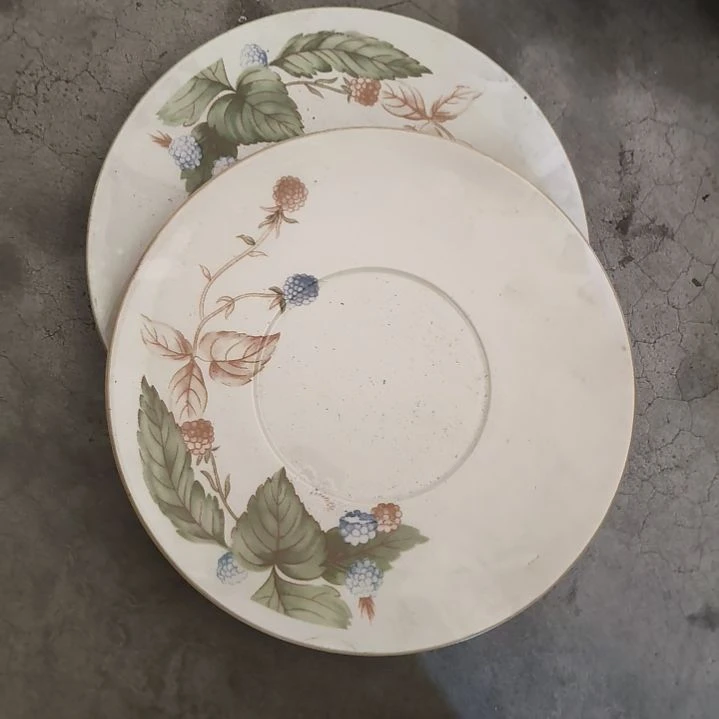 六寸碟两个！！！！！！！