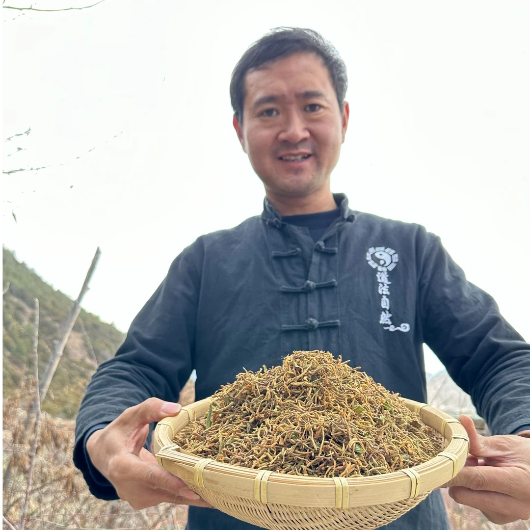 高海拔金银花下山货滋补养生