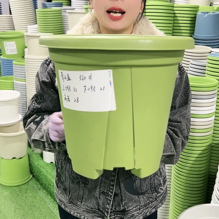 清仓青山口32高28果绿色5只无托