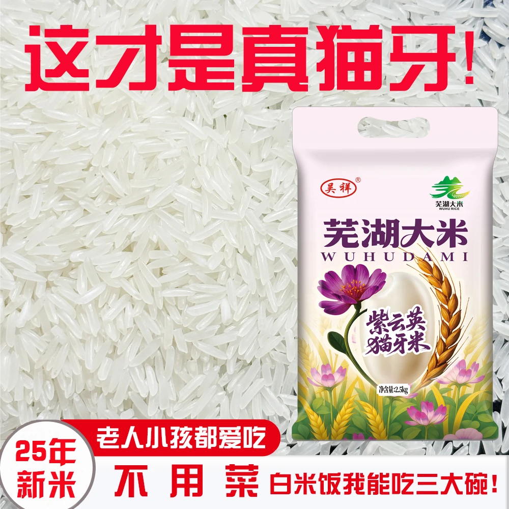 2025年紫云英猫牙米玉香丝苗新米现磨芜湖大米长粒香米5斤10斤装