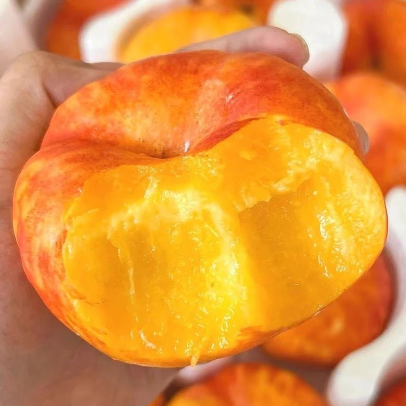 【京东】山东黄油蟠桃彩虹油蟠桃新鲜现摘脆甜多汁水果