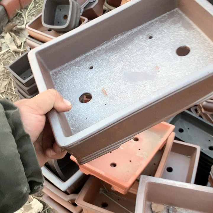 紫砂没有那么好吃我的