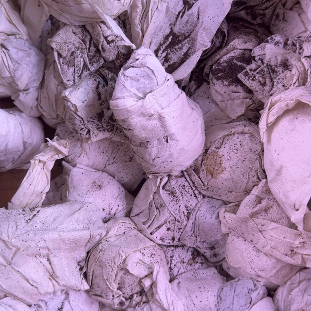 实生草球两颗一组ygy