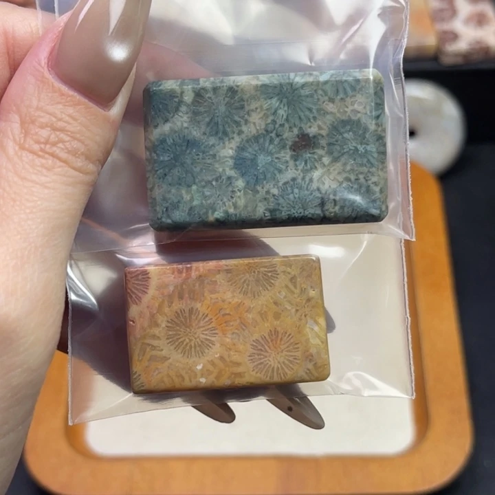 未镶嵌吊坠硅化珊瑚（珊瑚玉）