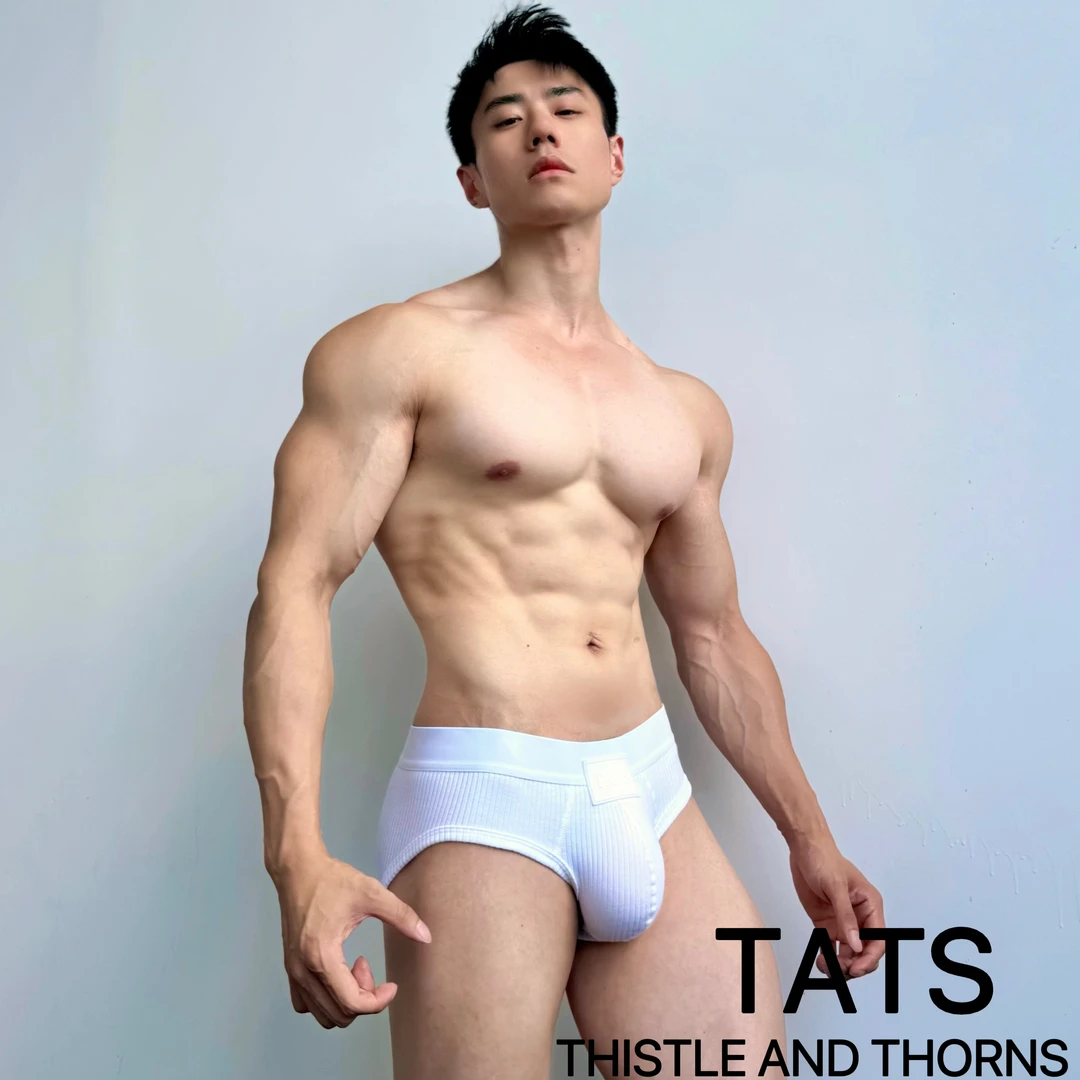 TATS（荆棘制造）埃及棉男士弹力提臀透气性感中低腰三角裤内裤