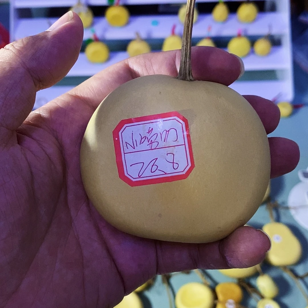 唠叨的人都是可爱的