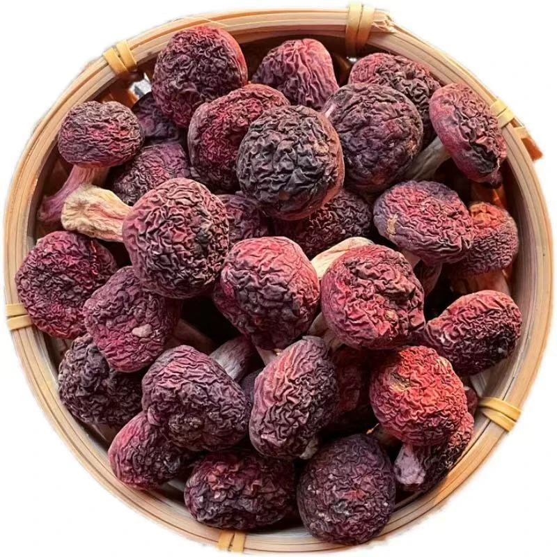 福建三明新货正宗红菇干货标菇孕妇月子菇滋补红菇