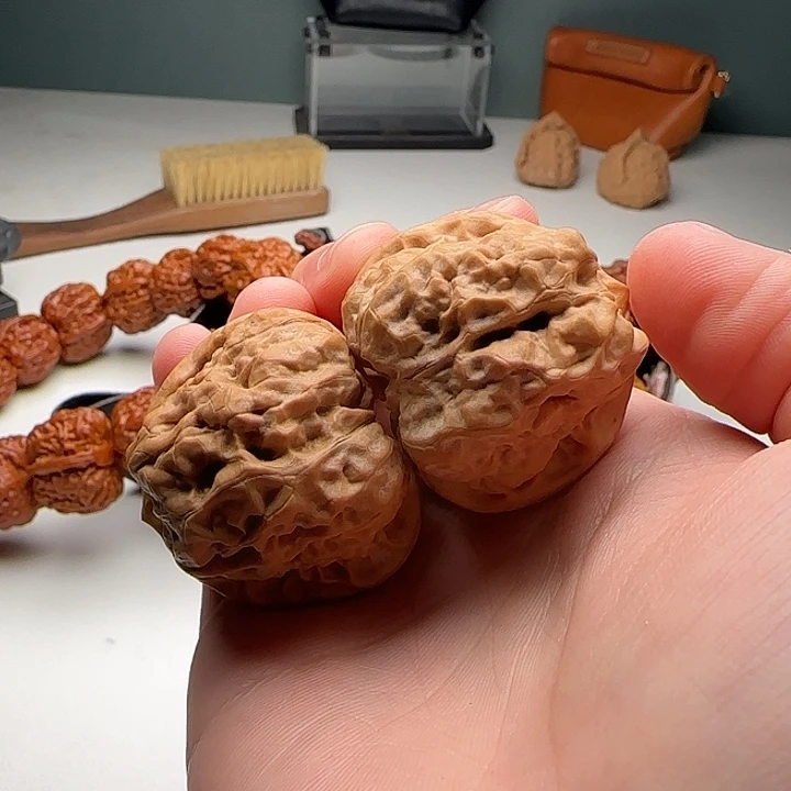 38-40-33蛙蟾细胞更好开背C26号