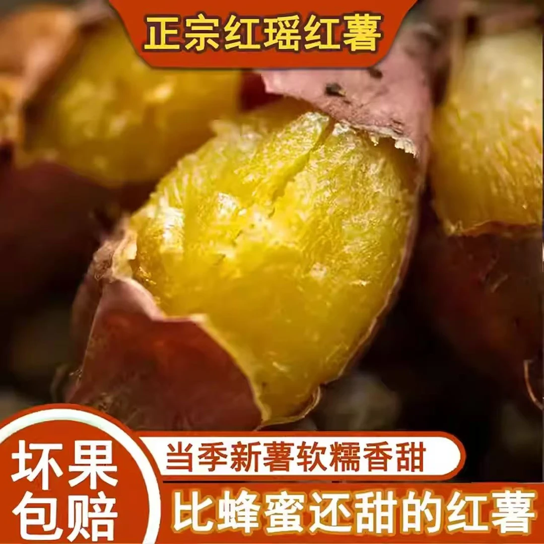 【顺丰包邮】正宗天津红瑶蜜薯当年新薯  软、糯、香、甜！
