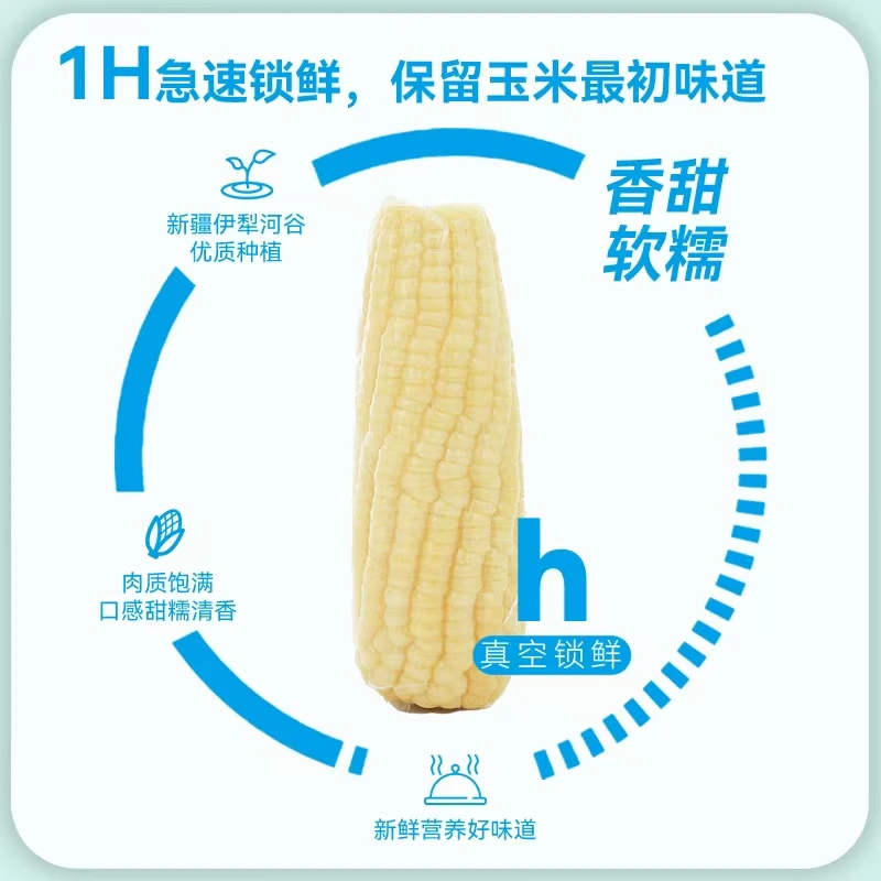 D鲜食玉米香糯玉米