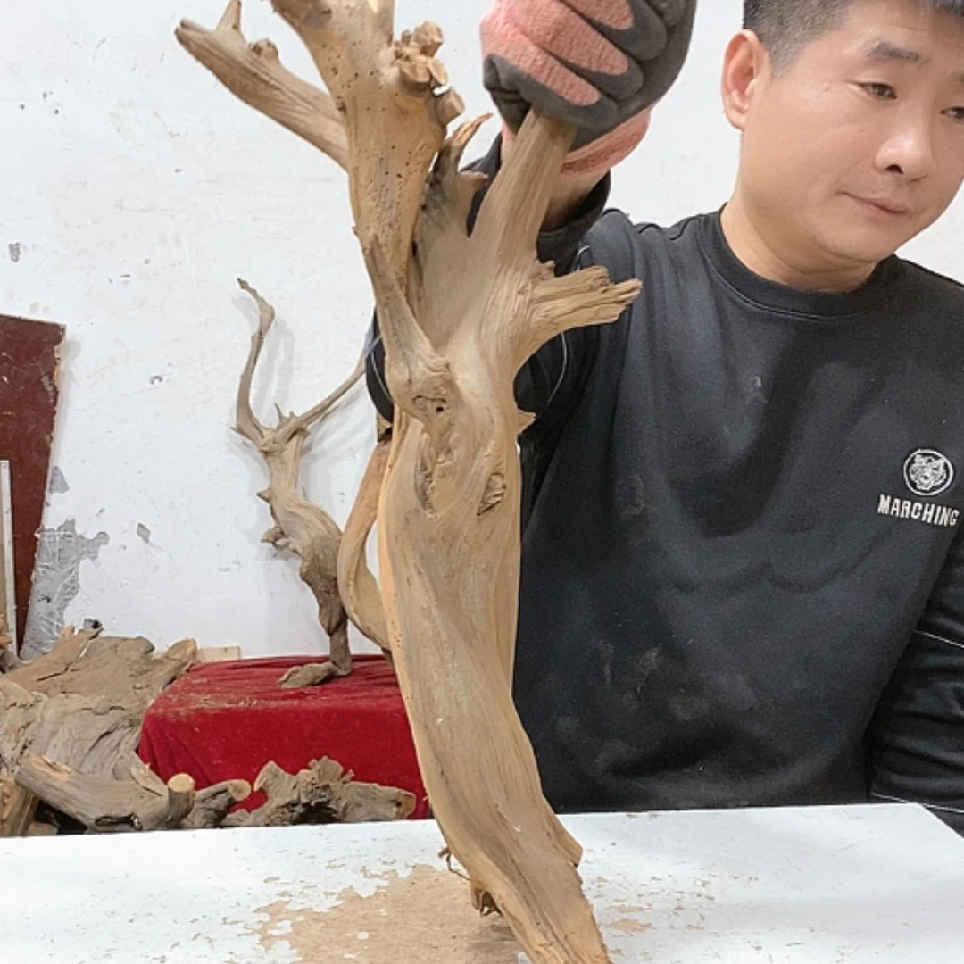 【闪购商品】柏木云****店我们都是好孩子
