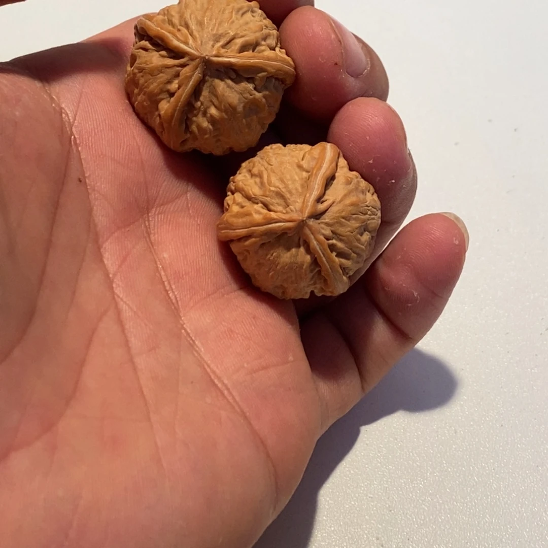 把件文玩核桃至尚孤品文玩直播