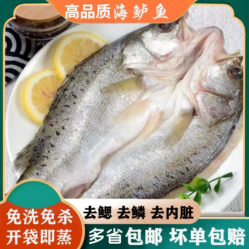 开背海鲈鱼4条去鳞去鳃去内脏 400-500g/条冷冻鱼类
