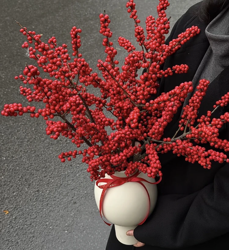 天物冬青70公分云南鲜花（轻微掉果属于正常）