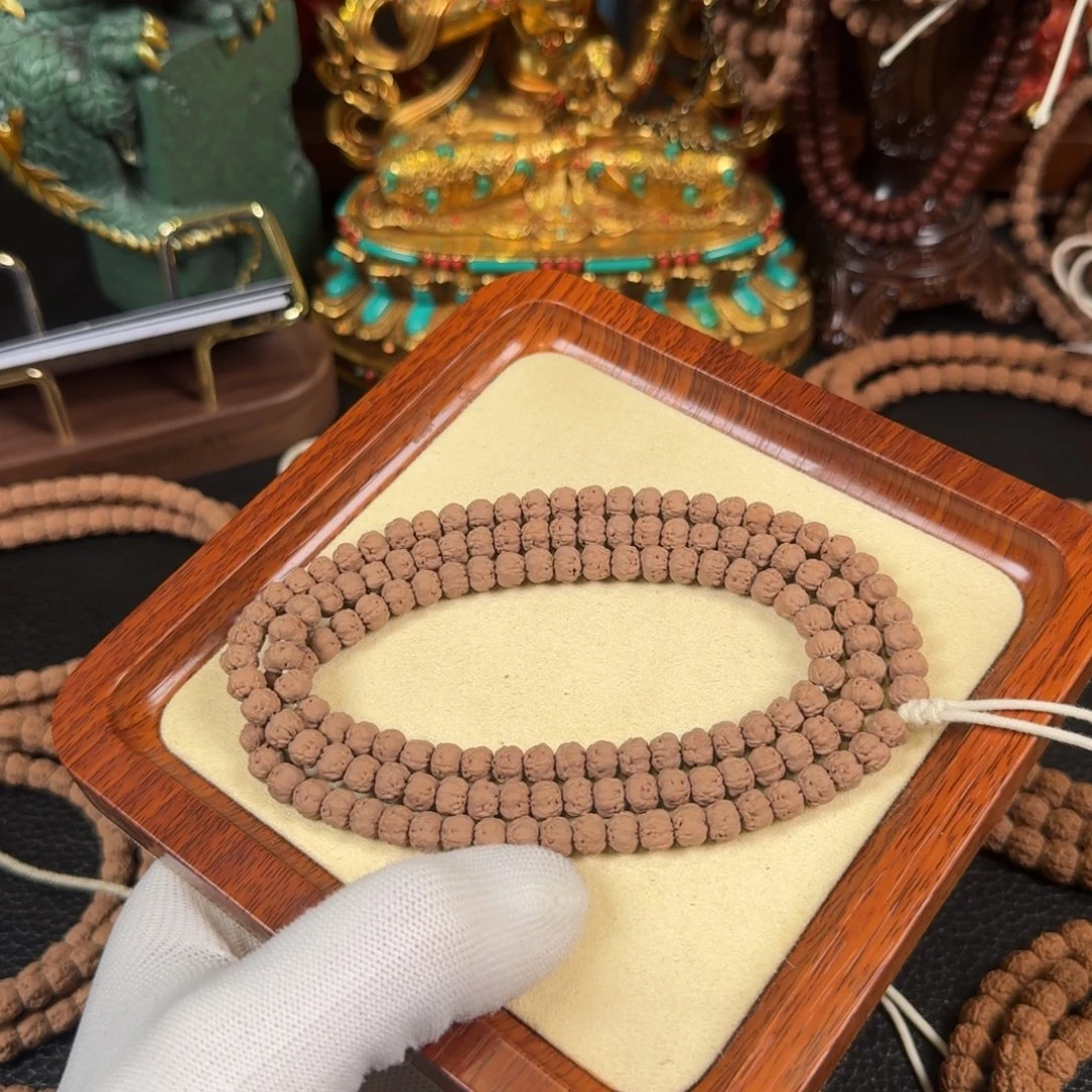 有***、吊坠金刚菩提6.5mm五爪金龙