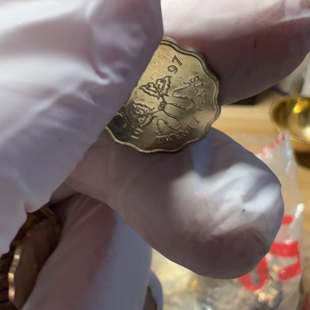 其他普通金属2豪蝴蝶