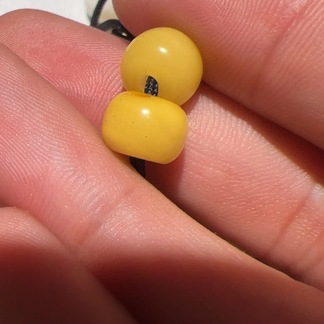 香榧木在这样一个人