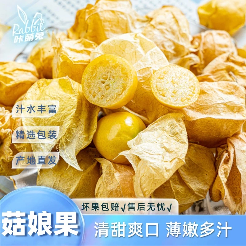 【咔萌兔】云南菇娘果半斤/1斤清甜爽口薄嫩多汁产地直发