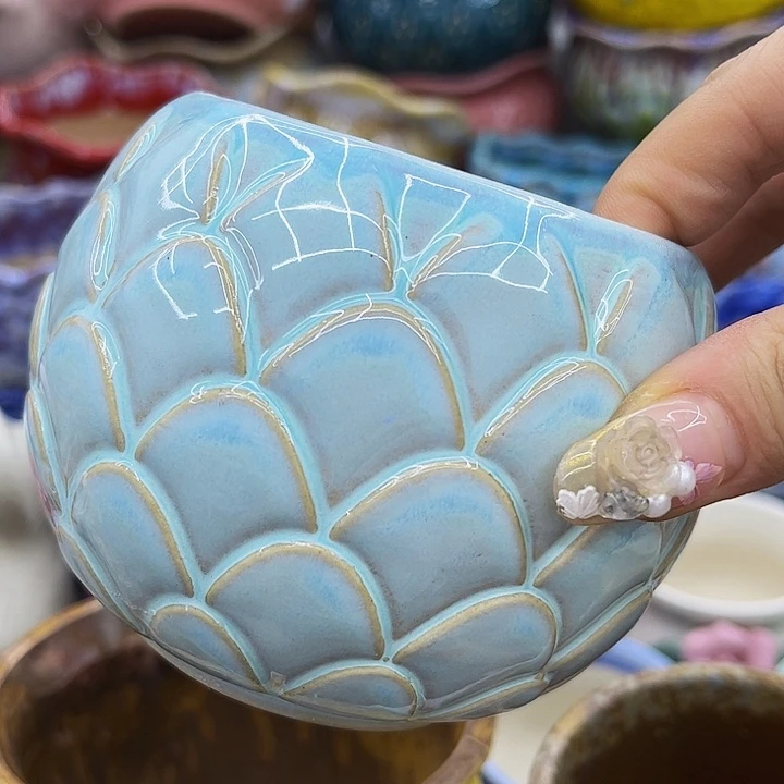 多肉绿植陶瓷花盆9.9包邮，有龙