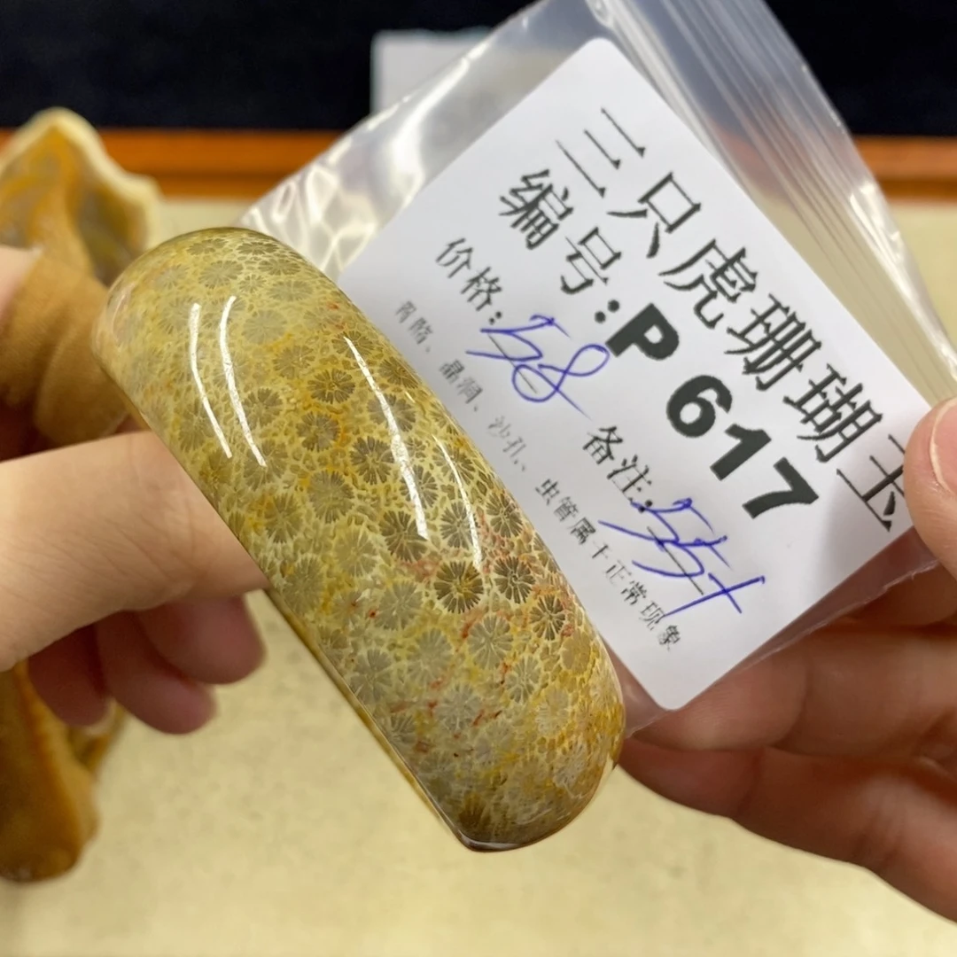 硅化珊瑚（珊瑚玉）1未镶嵌果