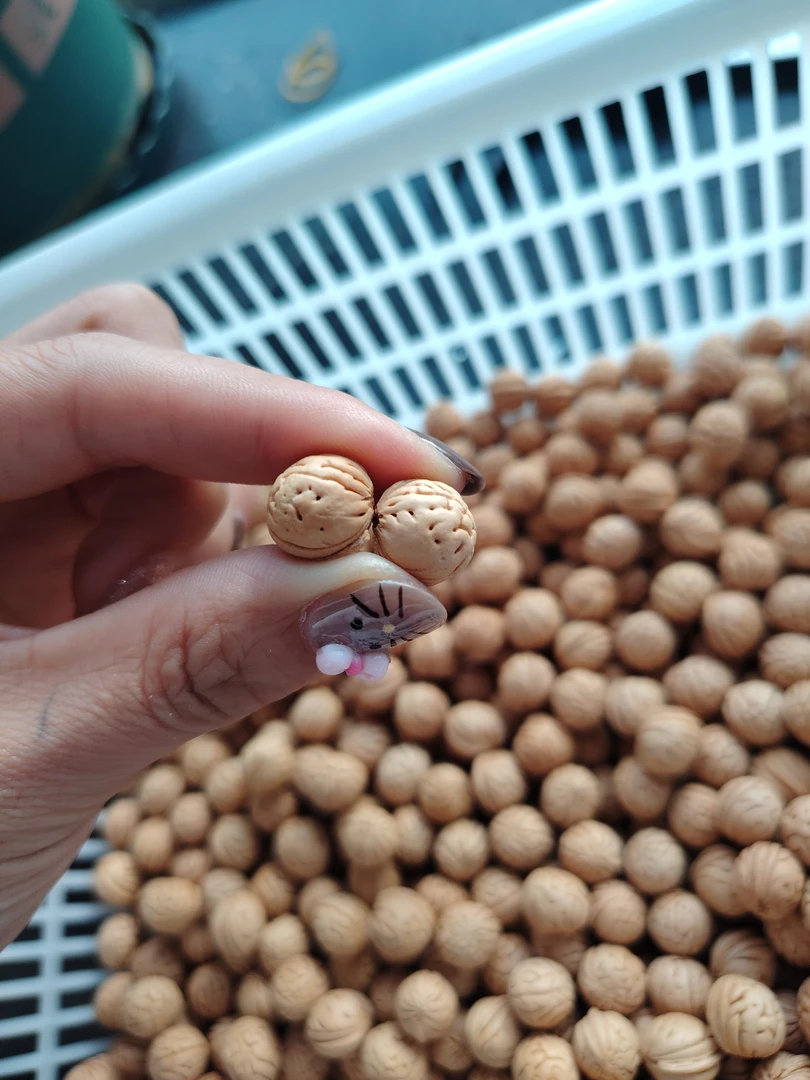 稀有野生小桃核精卡全圆头小桃核精品散籽批发（20个起拍）