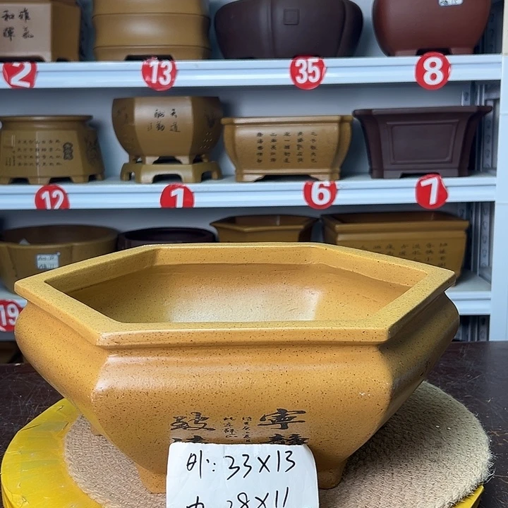 紫砂花盆你在一起