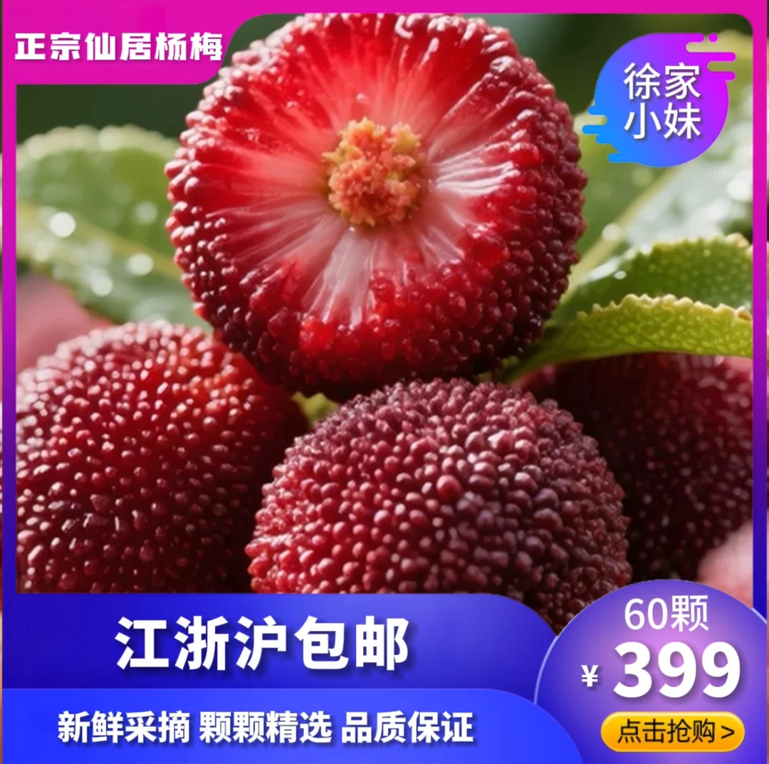 仙居东魁杨梅颗粒礼盒装 浙江地标特产 现摘现发 果肉厚实