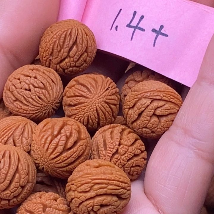 秦岭龙纹桃核17颗