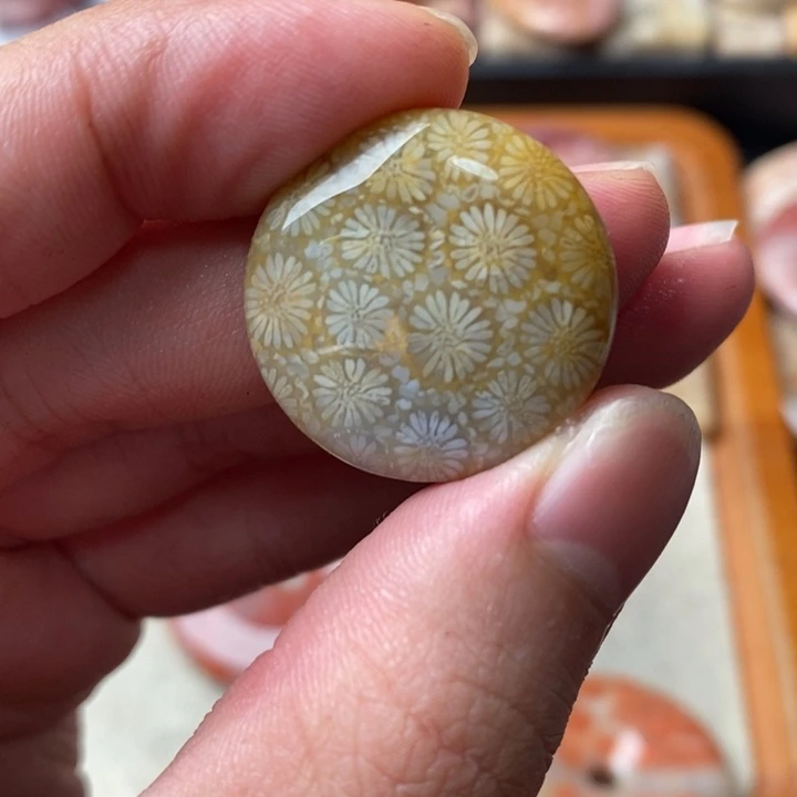 硅化玉颈饰未镶嵌福*