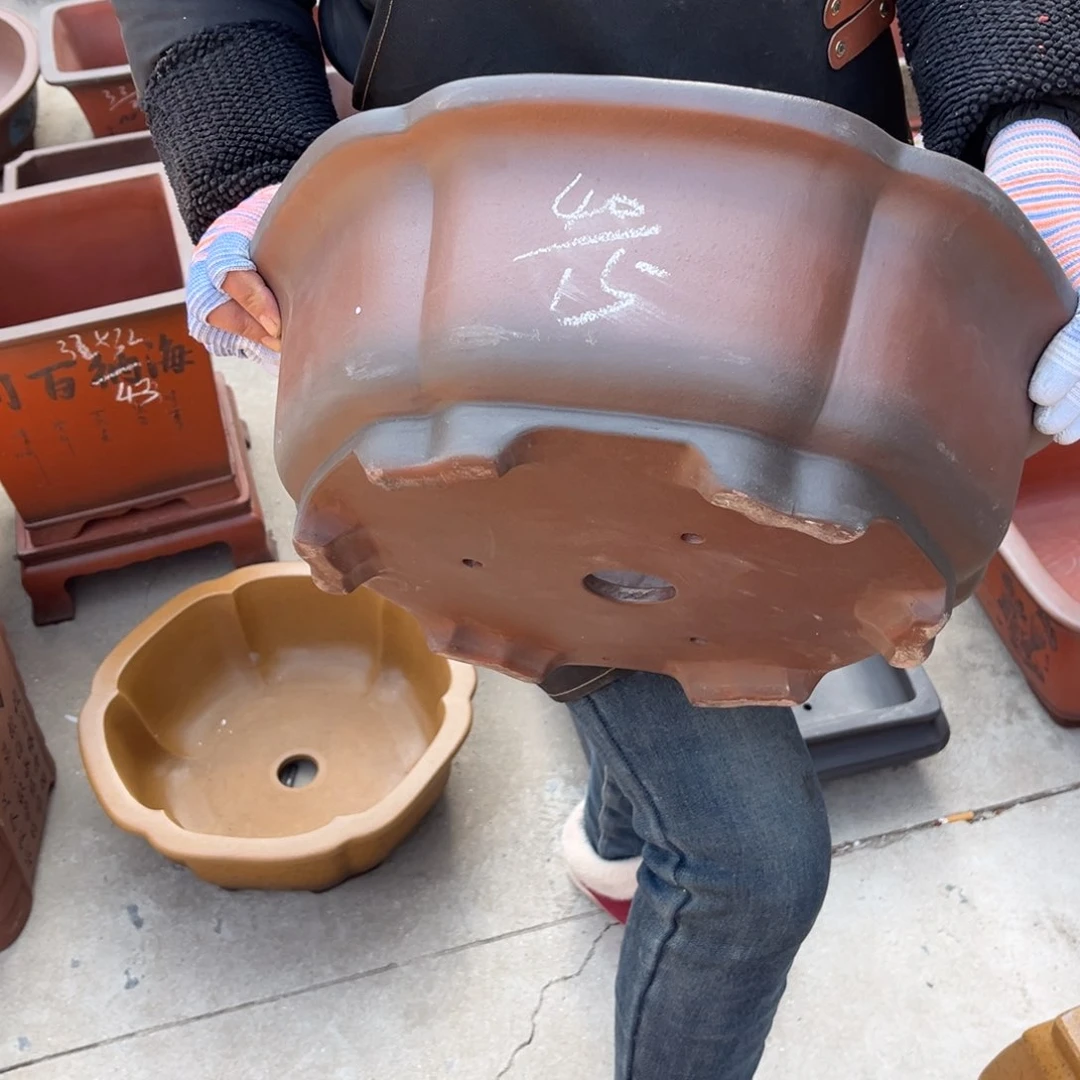 紫砂花盆盆景艺术