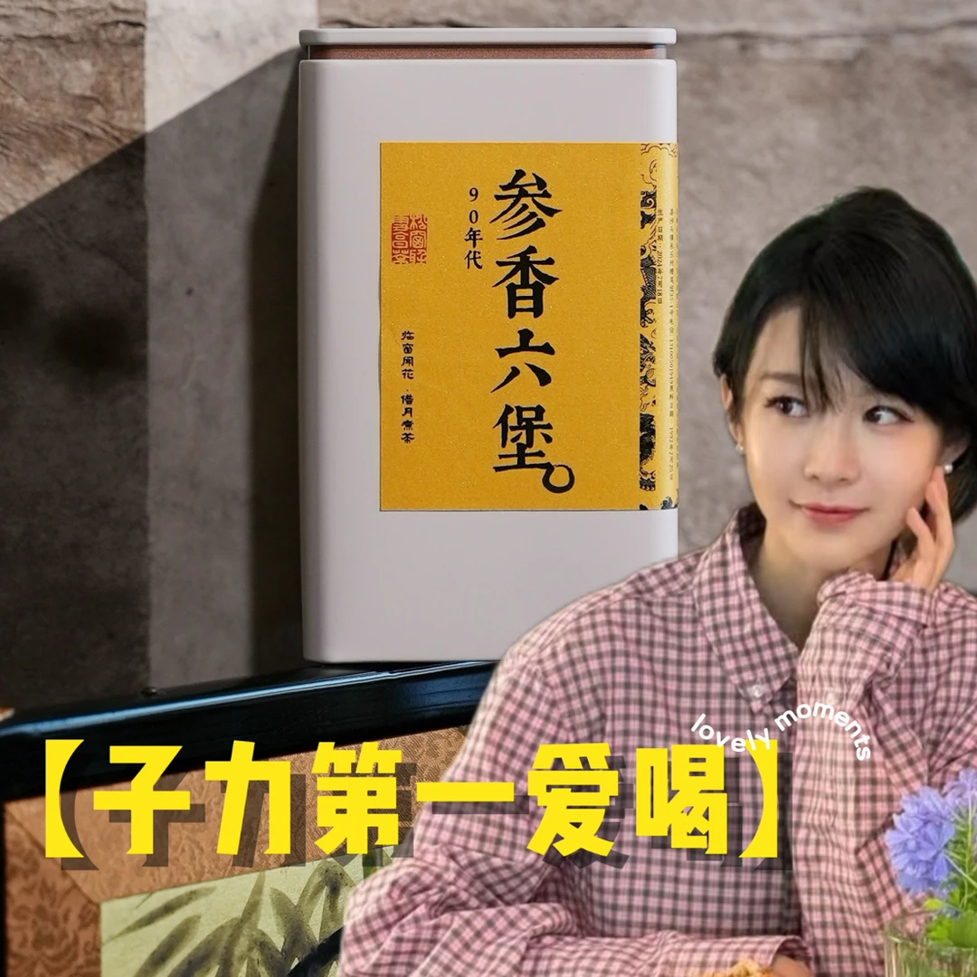 90年代参香六堡茶 90g