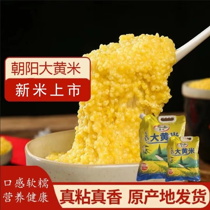 【遥遥专属】晟阗 2025年新大黄米 5斤 颗粒饱满 粘糯可口
