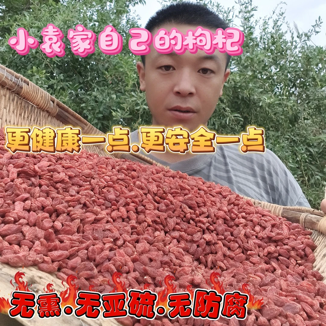 小袁自家新枸杞500g头茬（中颗粒）食用泡水无亚硫无科技宁夏老品种