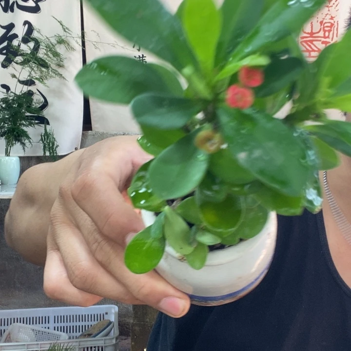 义***兵以实际为准退款退款拉黑138