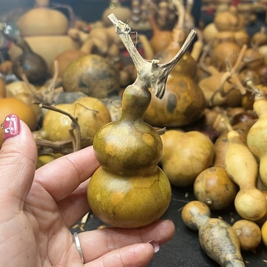 顺**为葫芦葫芦葫芦葫芦