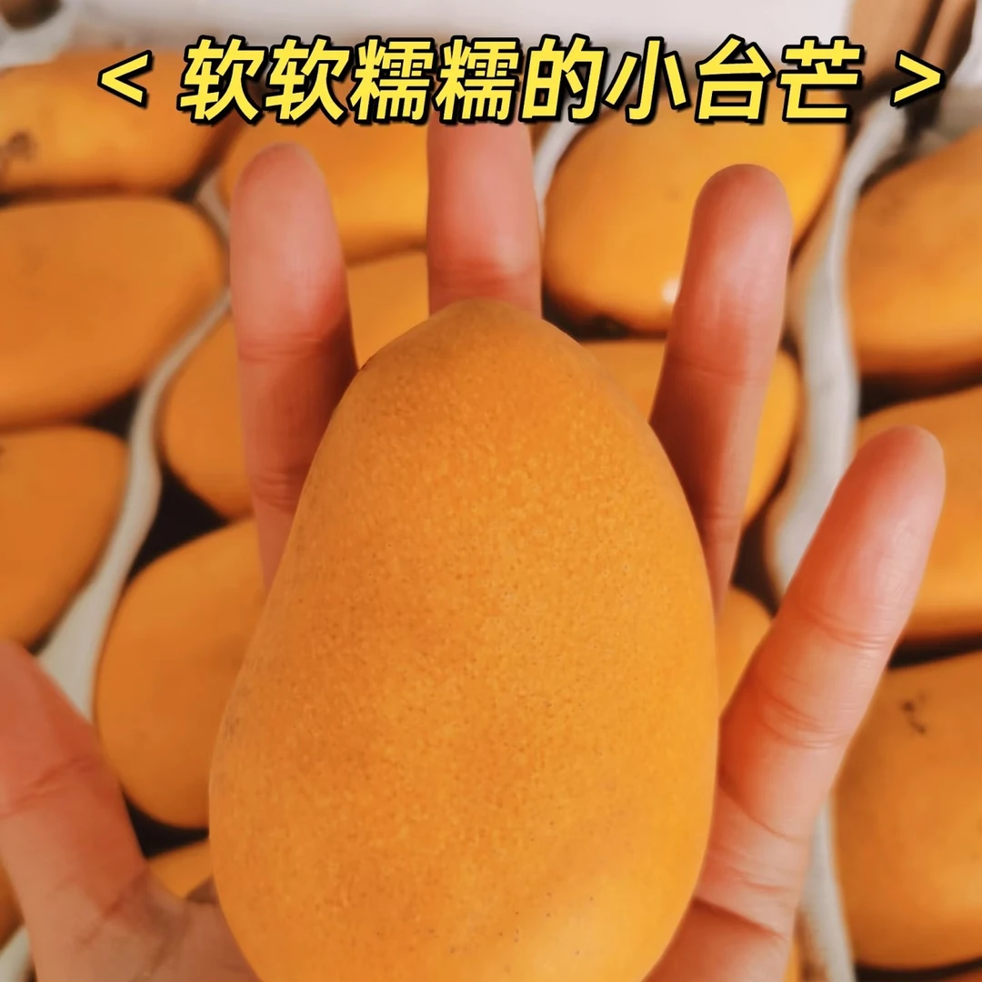 【新到小台芒4斤毛重】嘎嘎好吃，包邮