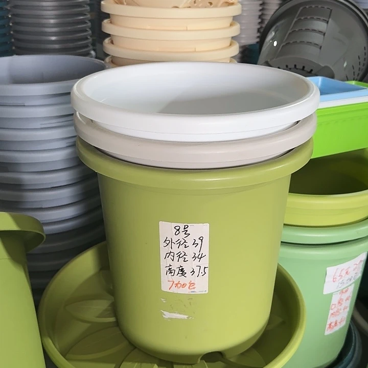 微瑕8#无托果绿色3个