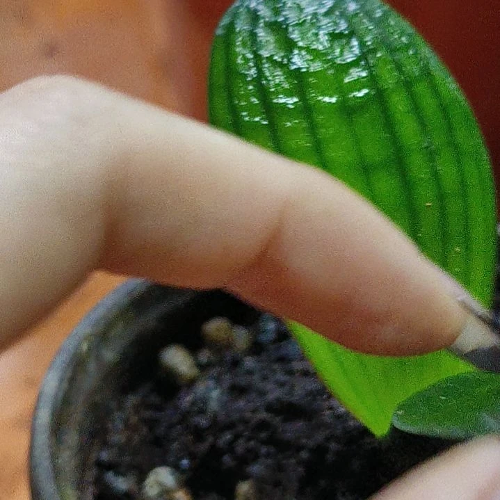 完全开放嗯嫩们呢呢呢