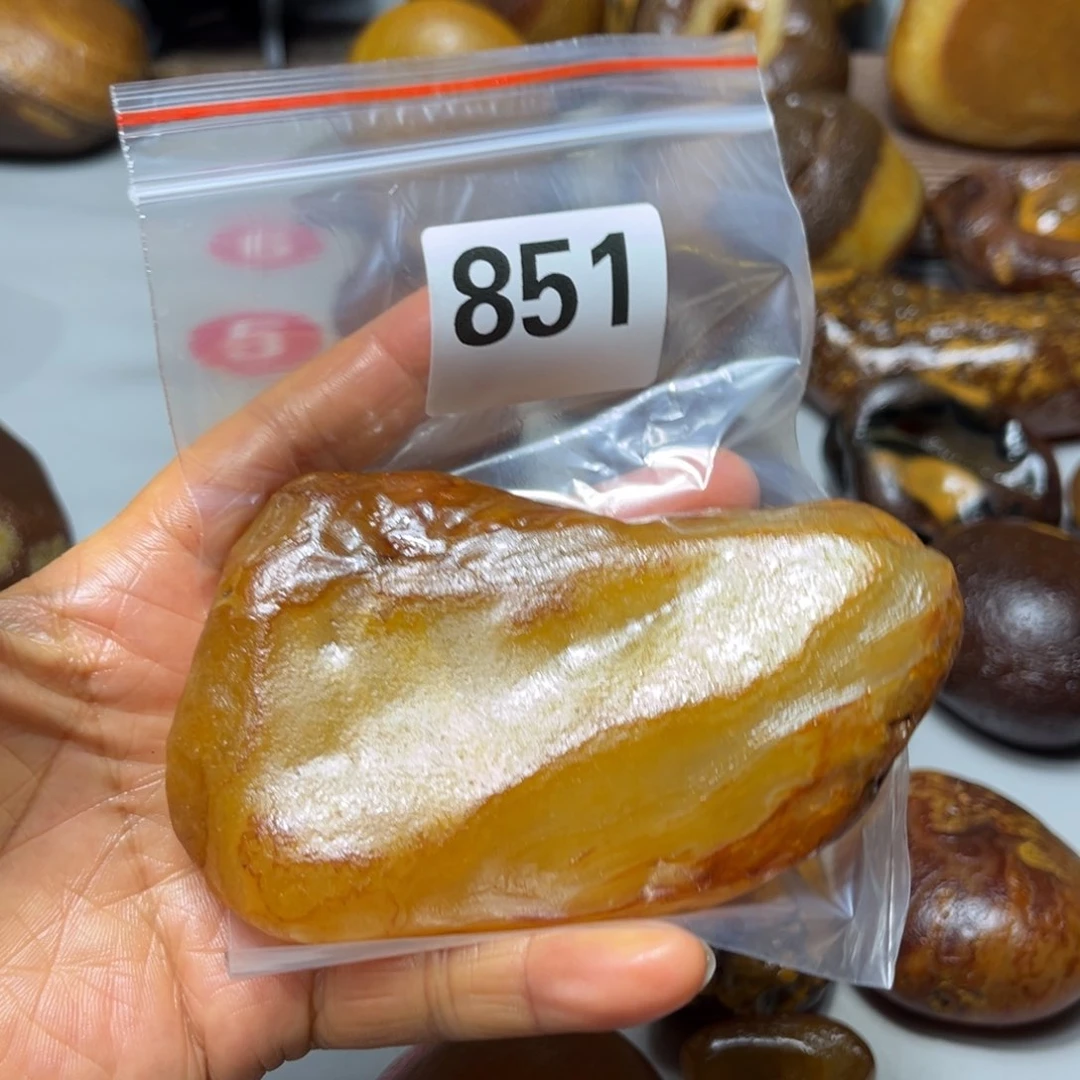 老挝石鸟****在马料马料马料